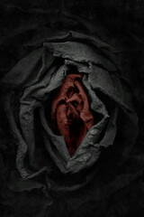 Wilted rose on dirty glass surface. Black and red rosebud. Night photo flora. Evil flower image....