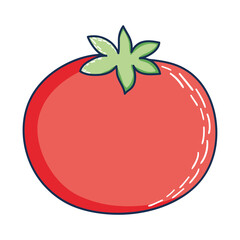 tomato vegetable icon