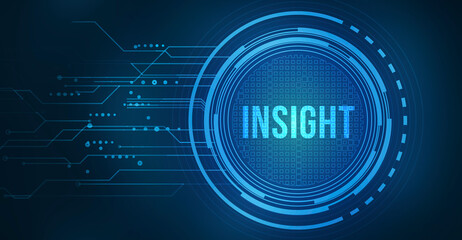Internet, business, Technology and network concept. INSIGHT inscription, successful business concept.