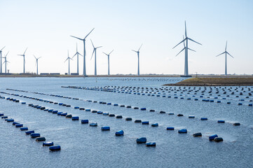 Netherlands, Bruinisse, Mussel, mussels farming in Oosterschelde estuary. Background Grevelingen Dam, part of Delta works and windmills