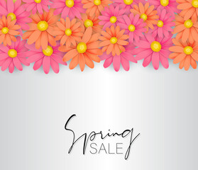 Spring sale banner or poster. Pink and orange daisies or gerbera flowers. Floral design concept. Vector illustration.