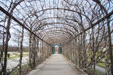 dry vine tunnel