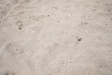 the sand beach is slightly reddish white