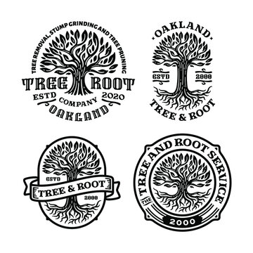 Bundles Of Tree Root Logo Badge With Circle Shape In Vintage Design