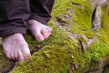 Moss on an old lying tree. Bare feet on the moss. Selective focus. Copy space.