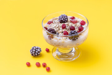 healthy breakfast-granola with yogurt, blackberries and cranberries.