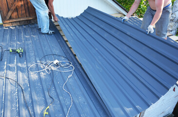 Metal roofing construction. Two building contractors are laying down and installing large metal roofing sheets onto the roof sheathing.