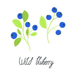 Illustration of wild blueberries with leaves. With the inscription Wild blueberry. Flat vector illustration. Isolated on white.