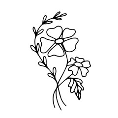 Wild flowers with leaves on a white background hand drawn. Exotic summer flower