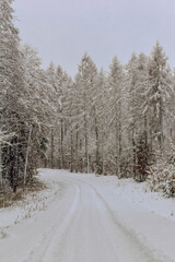 road in the snow