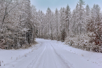road in the snow