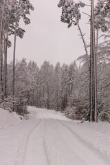 road in the snow