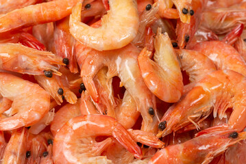 Shrimps background texture. A lot of shrimps. Cooked shrimps.