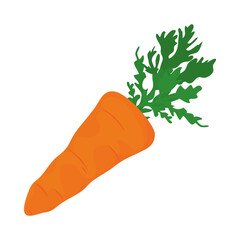carrot vegetable icon