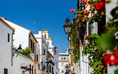 White buildings decorated with flowers in the old neighborhood of San Basilio in Cordoba, Spain