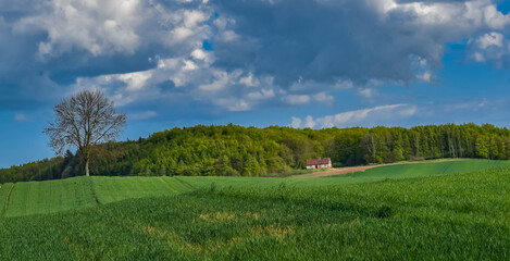 landscape with sky