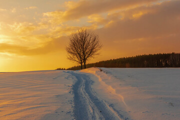 Fototapeta na wymiar sunset in winter