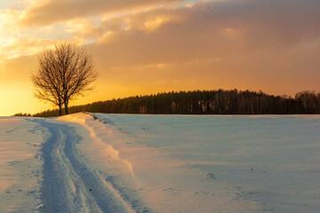 Fototapeta na wymiar sunset in the winter