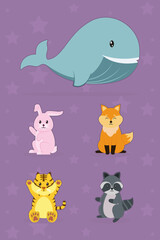 cute animals collection