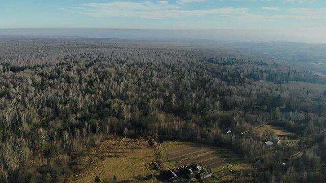 Natural pure deciduous forest in the Carpathians in early spring deciduous forest in a leafless state