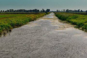 river in the Żuławy