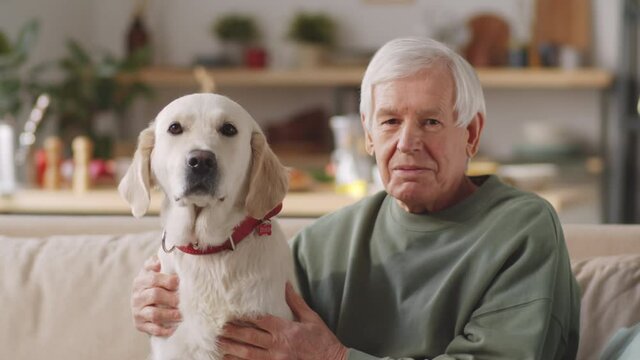 Portrait of happy senior man sitting with cute golden retriever dog on couch at home and looking at camera