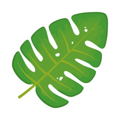 monstera leaf icon