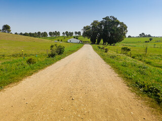 Walking in a Path in the countryside landscape