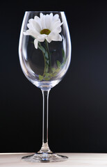 Living flower standing in a glass