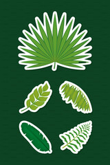 tropical leaves set © Jeronimo Ramos