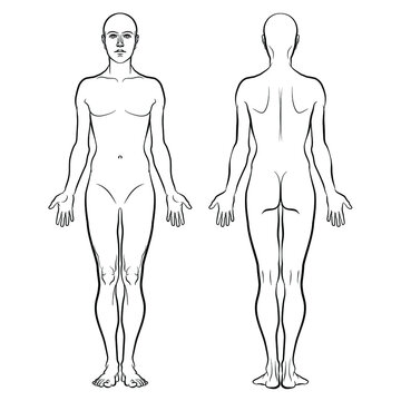 Model of the human body. Hand drawn gender-neutral figure on isolated background, front and back views, outline variant. Flat vector, EPS 8.