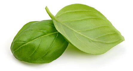 Fresh organic basil leaves, close-up, isolated on white background. High resolution image.