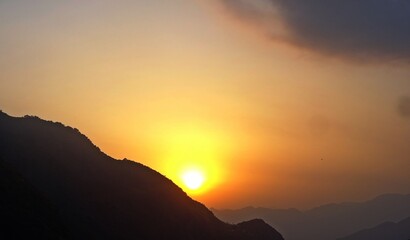 landscape with trees and flowers