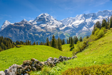 The Swiss Alps at Murren, Switzerland. Jungfrau Region. The valley of Lauterbrunnen from Interlaken. - obrazy, fototapety, plakaty
