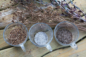 Hand-picked coriander, dill and lettuce seeds