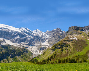 Fototapeta premium View of beautiful landscape in the Alps with fresh green meadows and snow-capped mountain tops in the background on a sunny day with blue sky and clouds in springtime.