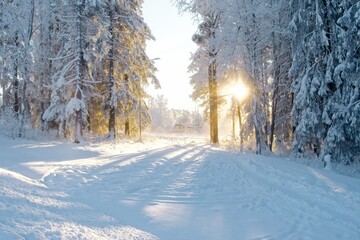 The rays of the winter sun break through the snow-covered and frosted trees - 429273272