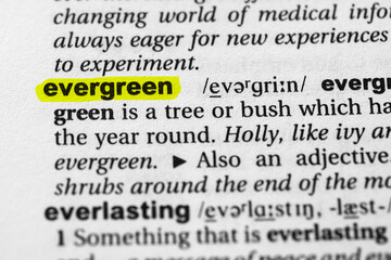 Highlighted word evergreen concept and meaning
