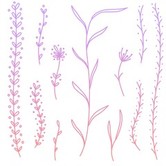 gradient floral elements