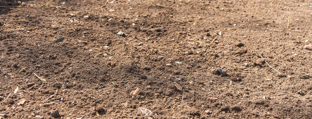 Frische braune Komposterde im Panoramaformat. Hortisol