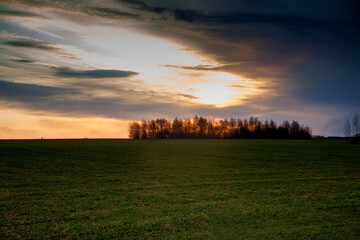 Naklejka na ściany i meble Sunset on the spring field