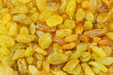 Many golden raisins as background, texture, pattern.