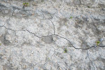 地面のひび割れ