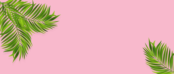 Fototapeta na wymiar Coconut leaves on a pink background. Vector