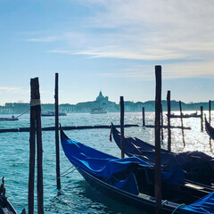 Venice Gondola Morning