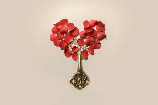 Valentine's card. Rose petals in the shape of a heart. And the key to the heart