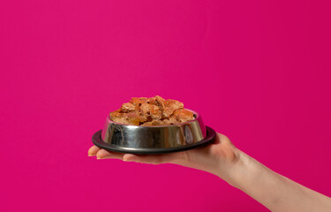 Hand holds a bowl of wet pet food on a pink background