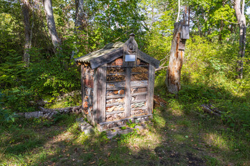 Fototapeta na wymiar Beautiful view of cute hotel for insects in forest. Natural landscape view. Sweden.