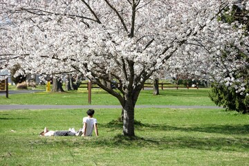 couple sitting in park