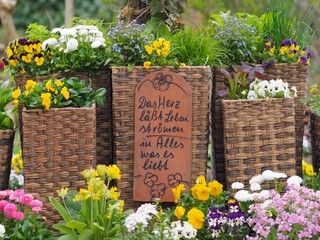 Gartenfreude - Blumen und Kräuter duften aromatisch	